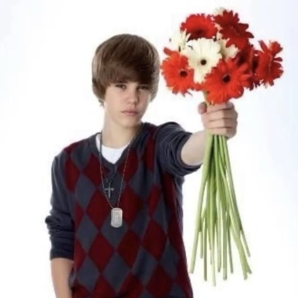 Meet your Posher, Ally